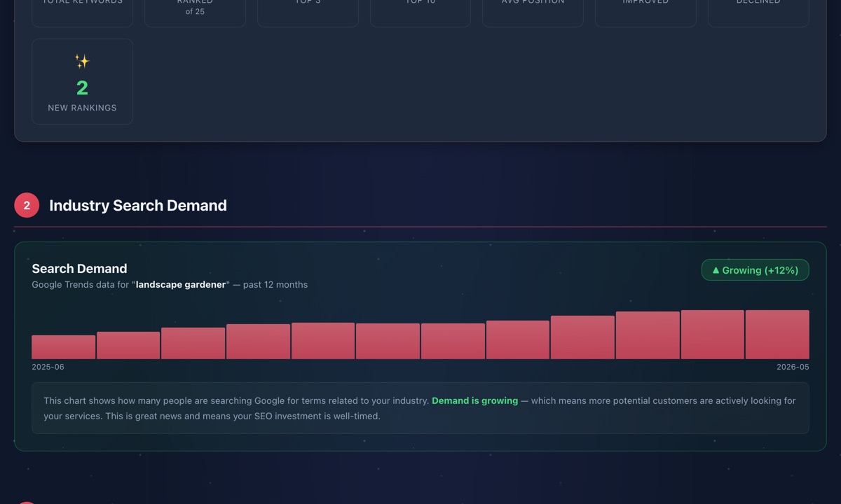 DPOM interactive SEO report screenshot 4